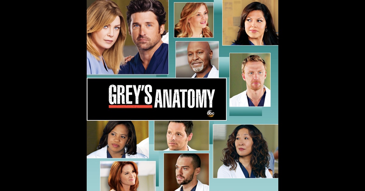 Grey's Anatomy, Season 9 on iTunes