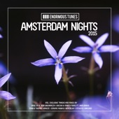 Enormous Tunes - Amsterdam Nights 2015 artwork