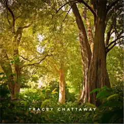 Together / Your Hand in Mine (Radio Edit) - Single by Tracey Chattaway album reviews, ratings, credits