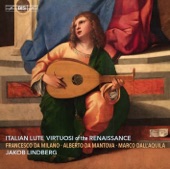 Italian Lute Virtuosi of the Renaissance artwork