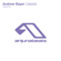 Celestial - Andrew Bayer