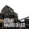 Shelter - Mauro Di Leo lyrics