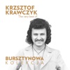 Bursztynowa Kolekcja - The Very Best of Krzysztof Krawczyk