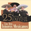 Mexico Lindo y Querido by Los Tres Tenores Mexicanos iTunes Track 2