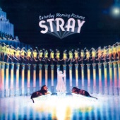 Stray - After the Storm