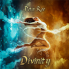 Divinity - Peter Roe