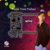 Pashni Tumi Pashani artwork