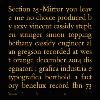 Mirror - Single - Section 25
