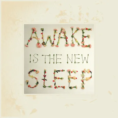 Awake Is the New Sleep (10th Anniversary Deluxe Version) - Ben Lee