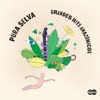 Pura Selva: Grandes Hits Amazónicos, 2015