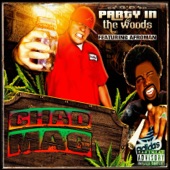 Party in the Woods (feat. Afroman) artwork