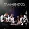 Esta noche - Tamarindos lyrics