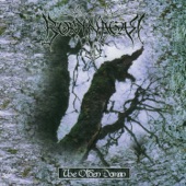 Borknagar - The Eye Of Oden