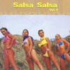 Salsa Salsa, Vol. 3, 2015