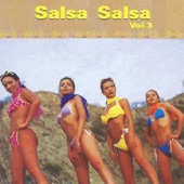 Salsa Salsa, Vol. 3 artwork