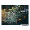 Dancing on My Own - Single
