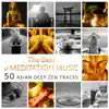 Stream & download The Best of Meditation Music: 50 Asian Deep Zen Tracks for Stress Management, Yoga, Sleep & Study, Healing Therapy Natural Sounds (Tibetan Bowls, Bells, Oriental Flute & Water)