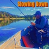 Slowing Down - Single