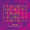 What Do You Know About Love? - Single