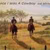 Joel Alden White - Rooster