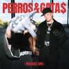 PERROS&GATA$ - Single