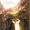 Blossom - Single