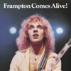 Peter Frampton - Show Me The Way (Live)