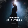 Aunque Me Olvides - Single