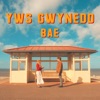 Bae - Single