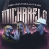 MiCharelo - Single