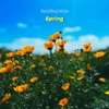Spring - Single