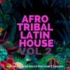 Afro Tribal Latin House, Vol. 2, 2024