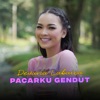 Pacarku Gendut - Single