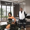 Never a Day Go By (feat. Donnie Ray) - Single