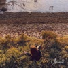 Untamed - Single