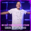 Imi Caut Fericirea in Brate Straine - Single