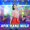 Apik Hang Mulo - Single