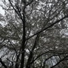 Please Don't Go - Single