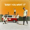 BABY YOU WANT IT - Single