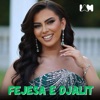 Fejesa e djalit - Single