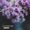 Ouverture - Single