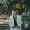 AY AMOR cover