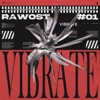 Vibrate - Single
