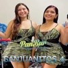 Sanjuanitos 4 - Single