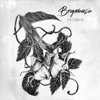 Brugmansia - Single