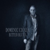 Domenic Cicala - Just to Walk That Little Girl Home