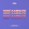 Wait a Minute - Single