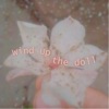 Wind Up The Doll - EP