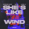 She's Like the Wind - Single