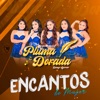 Agrupación Pluma Dorada - Prometi No Llorar